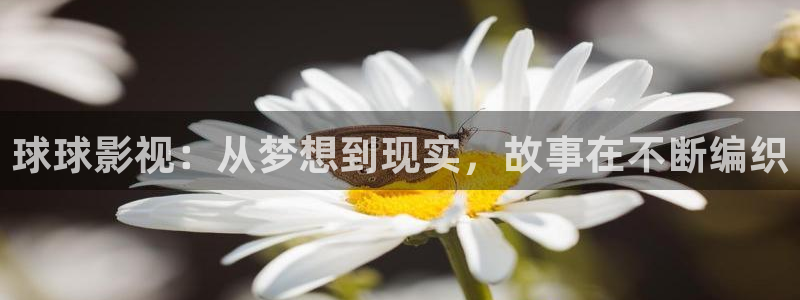 桃花电影全集