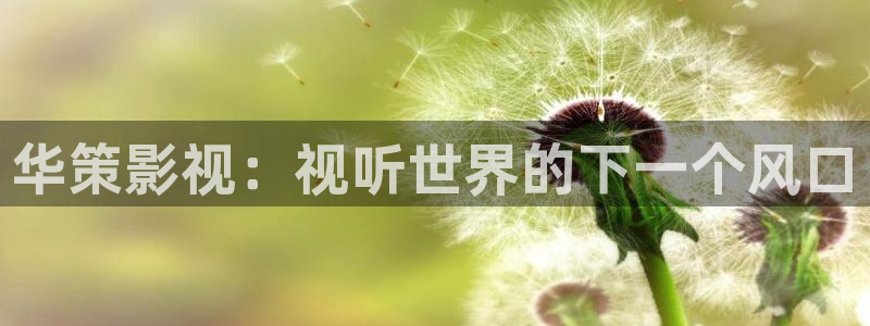 桃花影视在线播放
