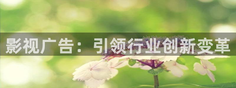 桃花影片